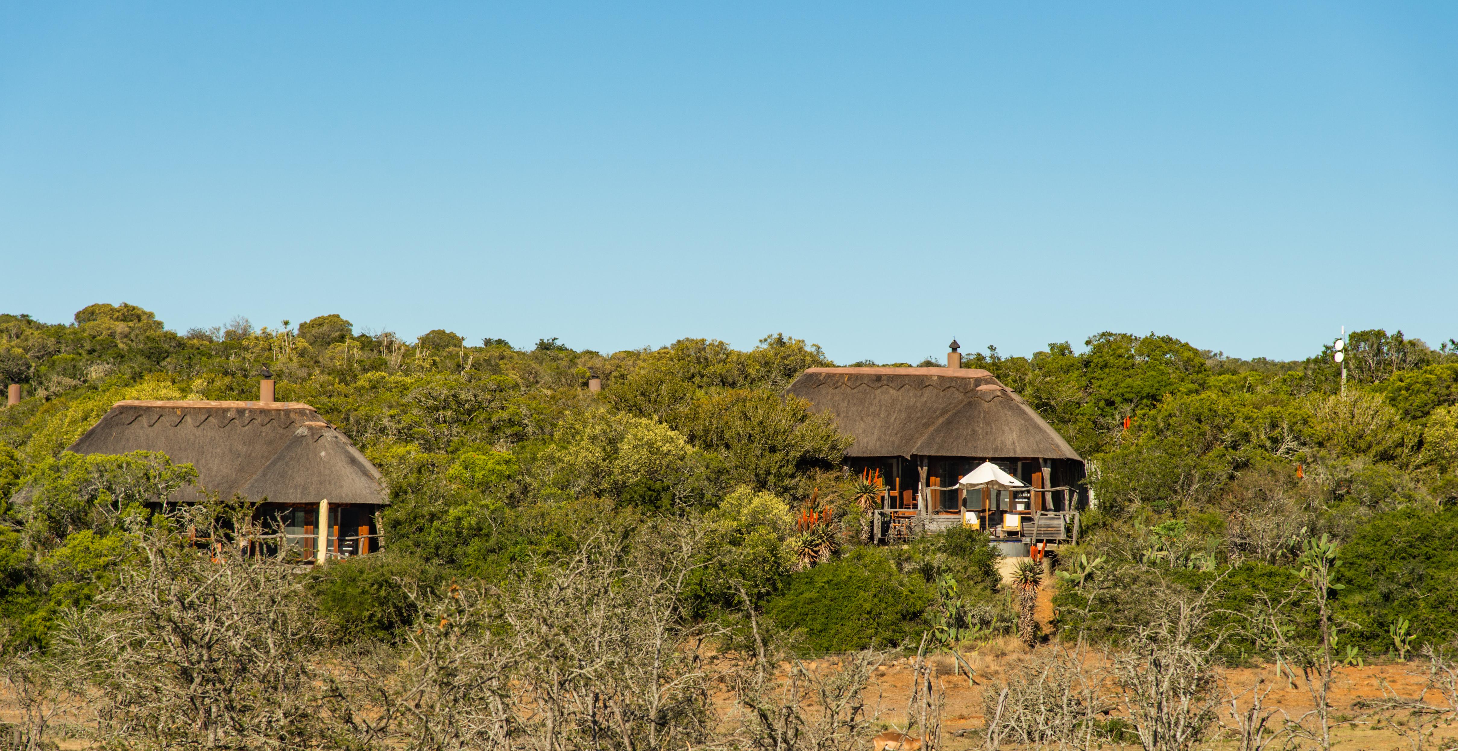 Pumba Private Game Reserve Порт-Элизабет Экстерьер фото